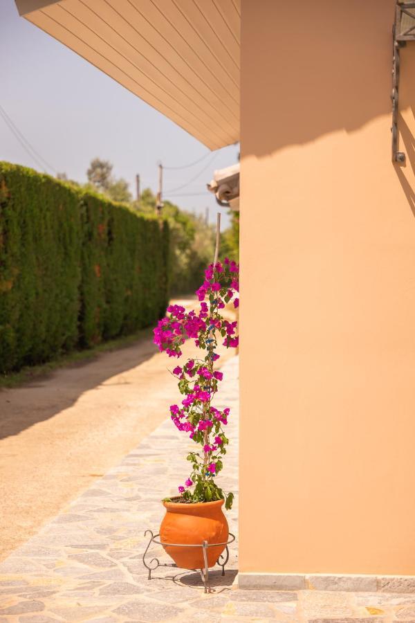 Kourouta Villas Amaliada Exteriér fotografie